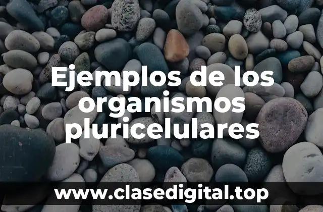 Ejemplos de los organismos pluricelulares