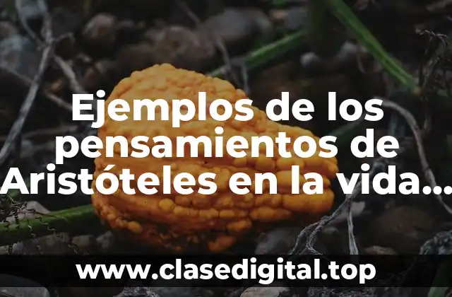 Ejemplos de los pensamientos de Aristóteles en la vida cotidiana