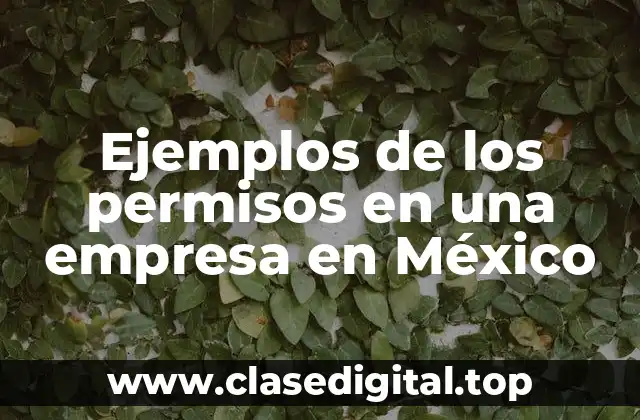 Ejemplos de los permisos en una empresa en México