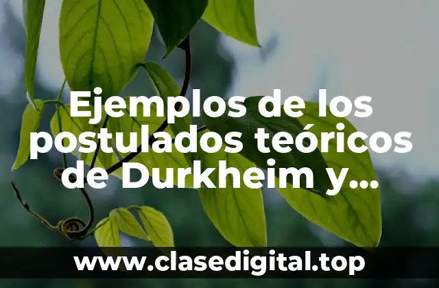 Ejemplos de los postulados teóricos de Durkheim y Merton