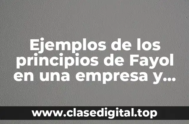Ejemplos de los principios de Fayol en una empresa y Significado
