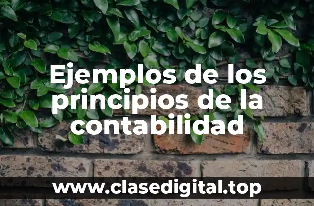 Ejemplos de los principios de la contabilidad