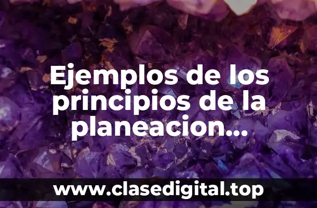 Ejemplos de los principios de la planeacion administrativa