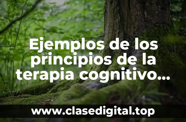 Ejemplos de los principios de la terapia cognitivo conductual