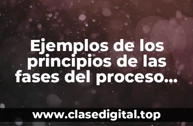 Ejemplos de los principios de las fases del proceso administrativo y Significado