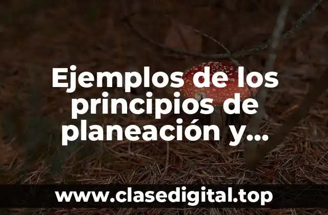 Ejemplos de los principios de planeación y Significado