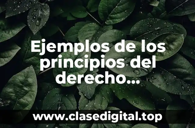 Ejemplos de los principios del derecho administrativo