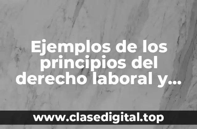 Ejemplos de los principios del derecho laboral