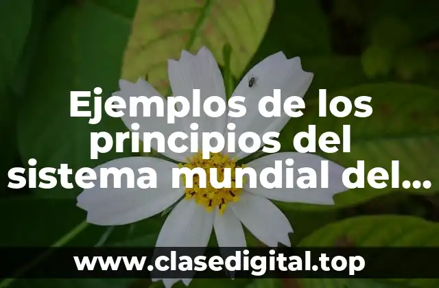 Ejemplos de los principios del sistema mundial del comercio