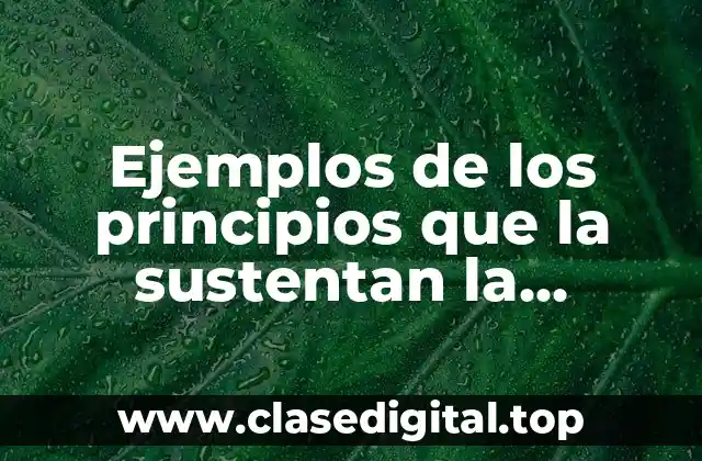 Ejemplos de los principios que la sustentan la participación ciudadana