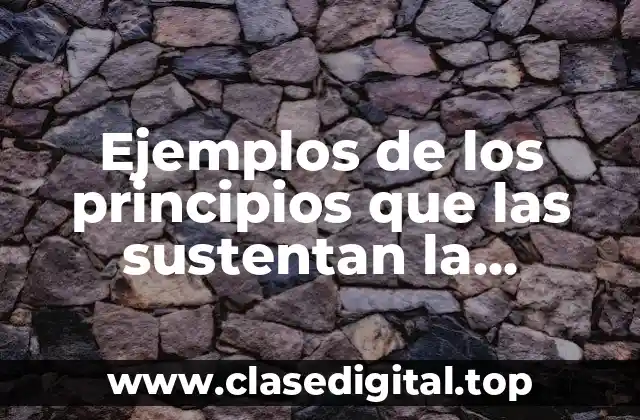 Ejemplos de los principios que las sustentan la participación ciudadana