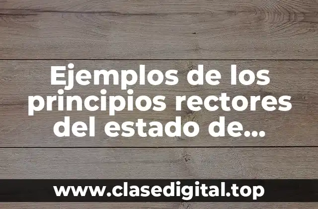 Ejemplos de los principios rectores del estado de derecho