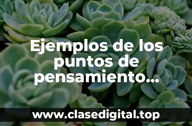 Ejemplos de los puntos de pensamiento filosófico de Nietzsche y Significado