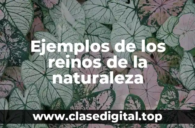 Ejemplos de los reinos de la naturaleza