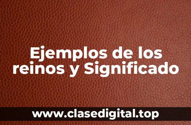 Ejemplos de los reinos y Significado