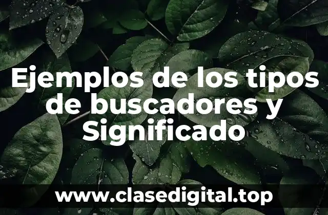 Ejemplos de los tipos de buscadores y Significado