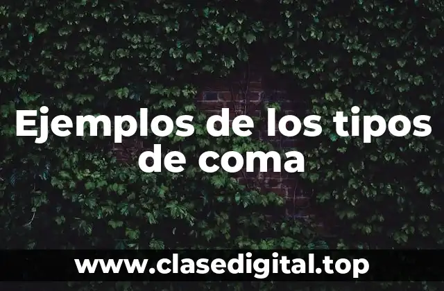 Ejemplos de los tipos de coma