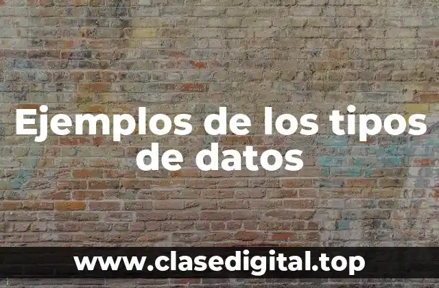 Ejemplos de los tipos de datos