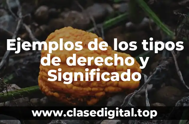 Ejemplos de los tipos de derecho y Significado