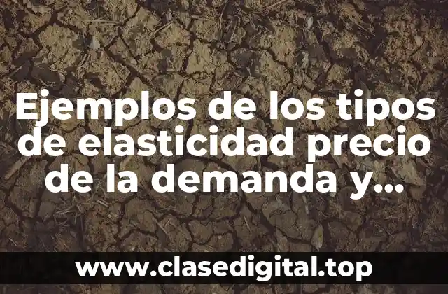 Ejemplos de los tipos de elasticidad precio de la demanda y Significado
