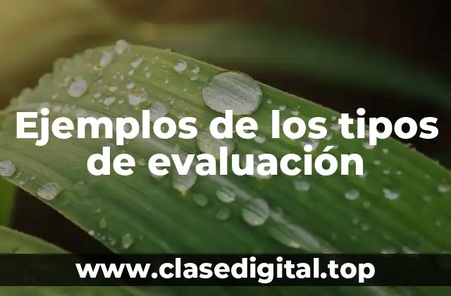 Ejemplos de los tipos de evaluación