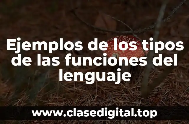 Ejemplos de los tipos de las funciones del lenguaje