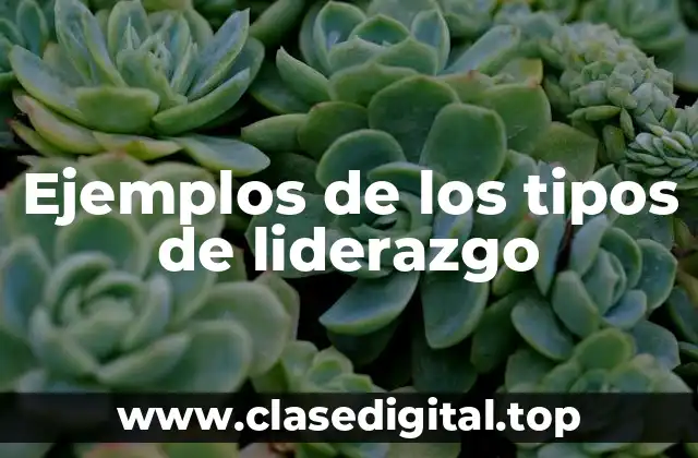 Ejemplos de los tipos de liderazgo