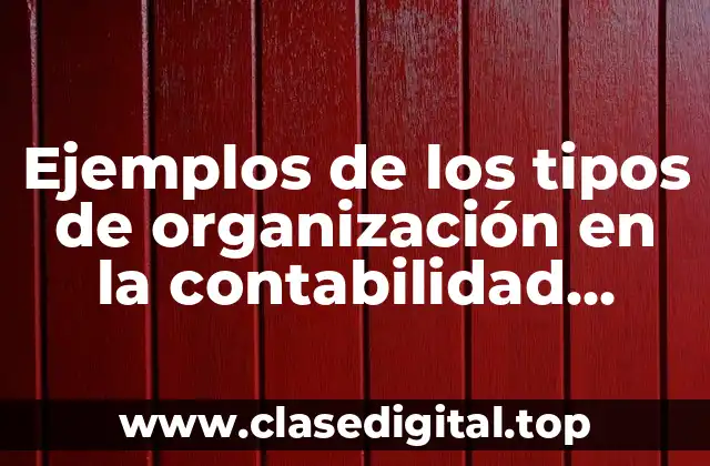Ejemplos de los tipos de organización en la contabilidad financiera
