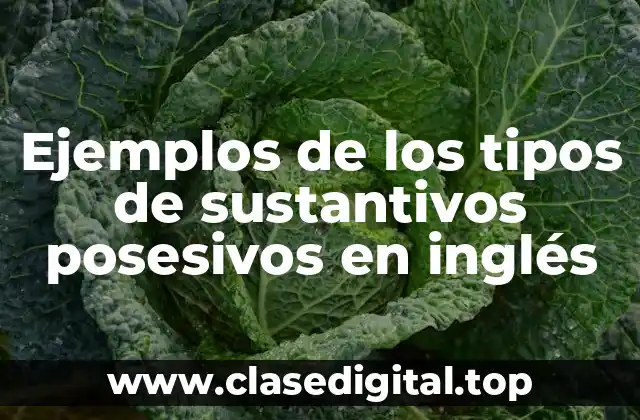 Ejemplos de los tipos de sustantivos posesivos en inglés