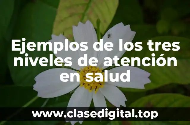 Ejemplos de los tres niveles de atención en salud