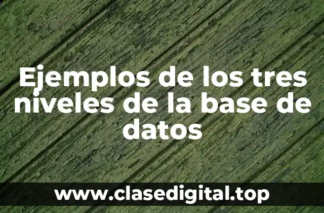 Ejemplos de los tres niveles de la base de datos