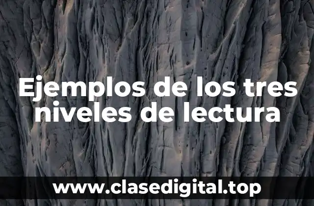 Ejemplos de los tres niveles de lectura