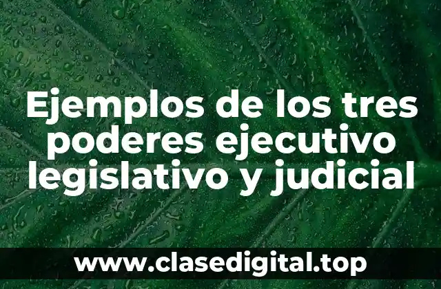 Ejemplos de los tres poderes ejecutivo legislativo y judicial
