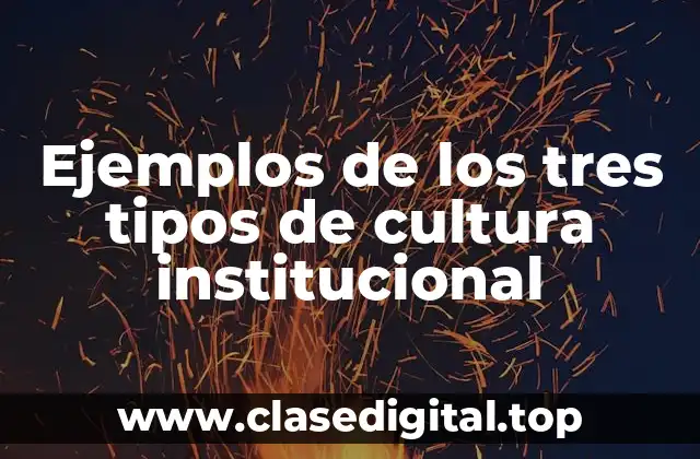 Ejemplos de los tres tipos de cultura institucional