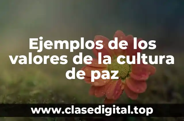 Ejemplos de los valores de la cultura de paz