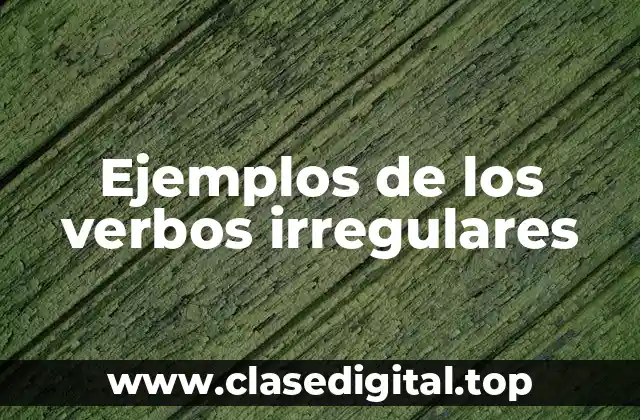 Ejemplos de los verbos irregulares