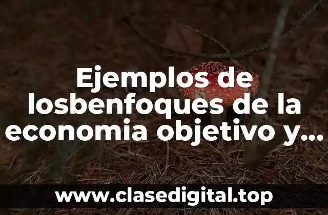 Ejemplos de losbenfoques de la economia objetivo y subjetivo y Significado