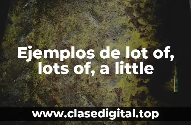 Ejemplos de lot of, lots of, a little