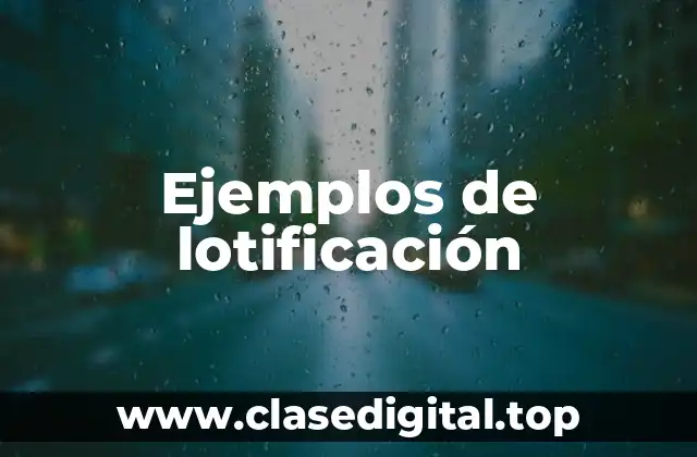 Ejemplos de lotificación