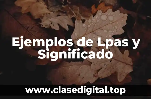 Ejemplos de Lpas y Significado