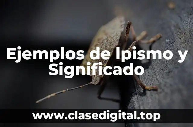 Ejemplos de lpismo y Significado