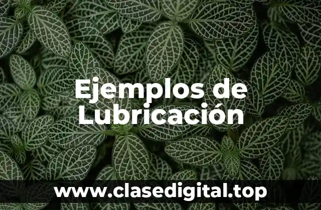 Ejemplos de Lubricación
