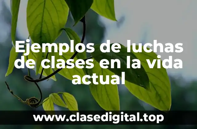 Ejemplos de luchas de clases en la vida actual