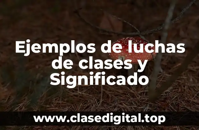 Ejemplos de luchas de clases y Significado