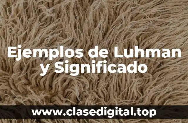 Ejemplos de Luhman y Significado