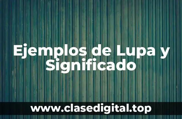 Ejemplos de Lupa y Significado