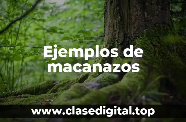 Ejemplos de macanazos