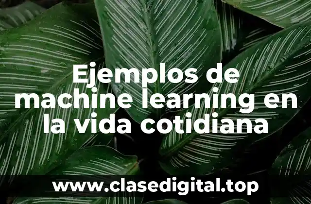 Ejemplos de machine learning en la vida cotidiana