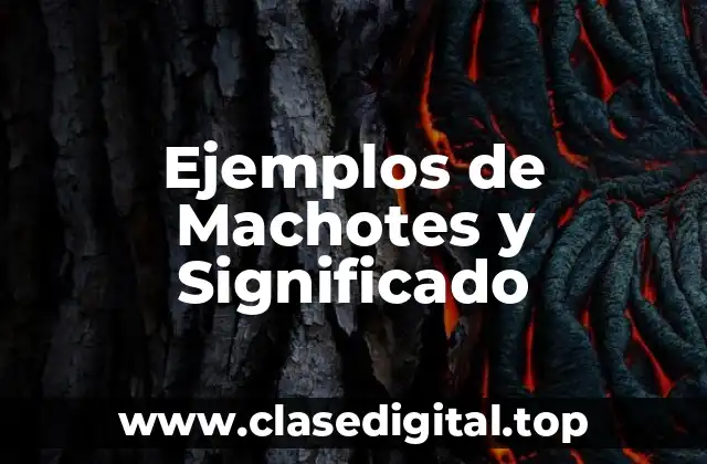 Ejemplos de Machotes
