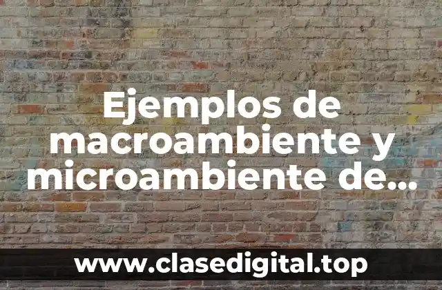 Ejemplos de macroambiente y microambiente de una empresa